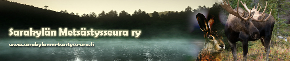 rhy.fi